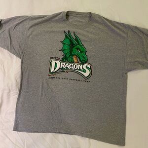 Dayton Dragons Baseball Heather Gray Graphic T-Shirt